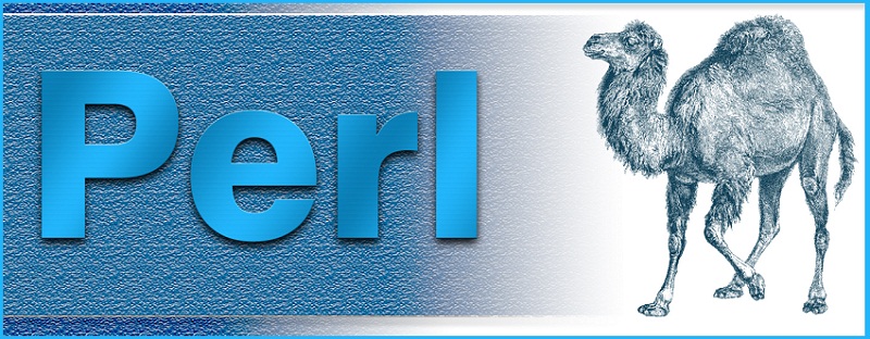 perl-training