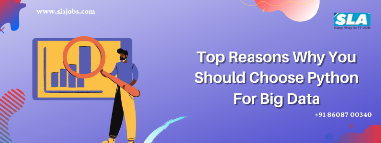Top Reasons Why You Should Choose Python For Big Data